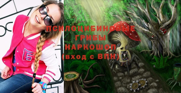 Альфа ПВП Горно-Алтайск
