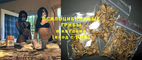 ECSTASY Горняк
