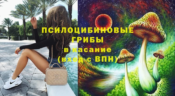 ECSTASY Горняк