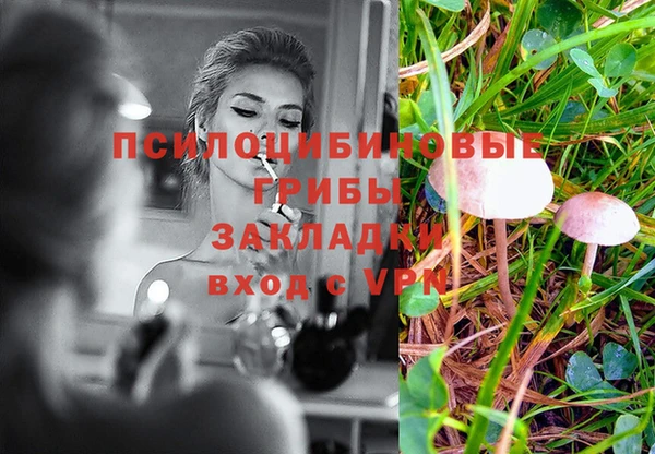 ECSTASY Горняк