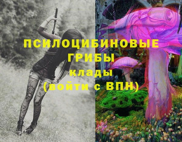ECSTASY Горняк