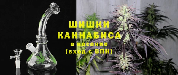 ECSTASY Горняк